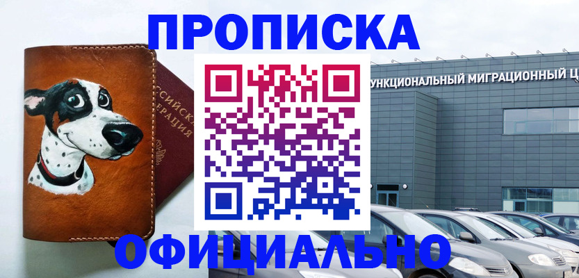 временная прописка в Бийске